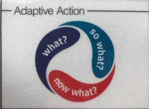 Adaptive Action cycle: What? So what? Now What? Next What? 