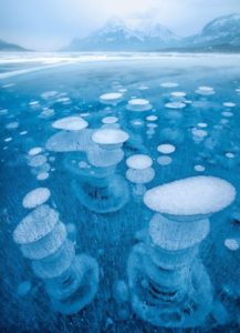 gas bubbles frozen in a lake